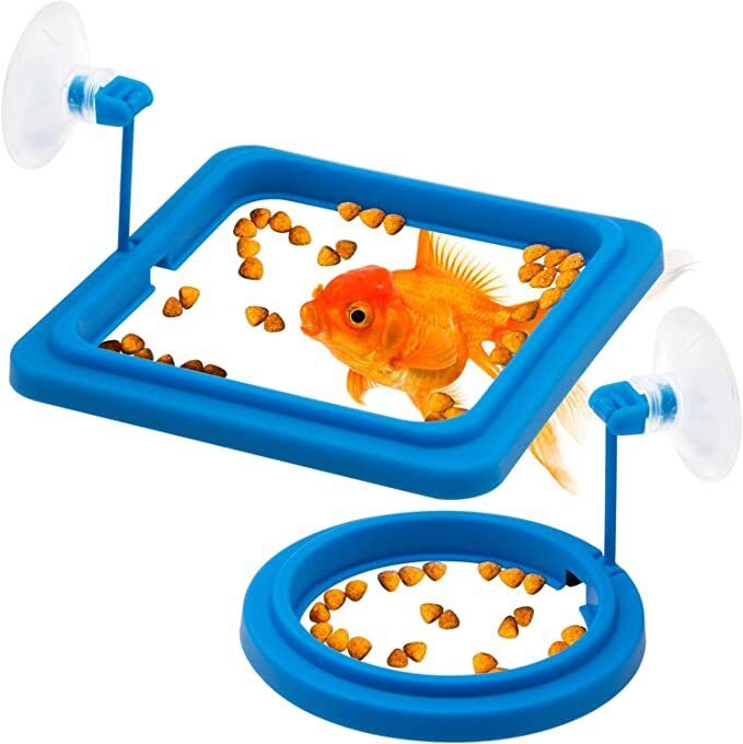 2 Piece Fish Feeding Ring