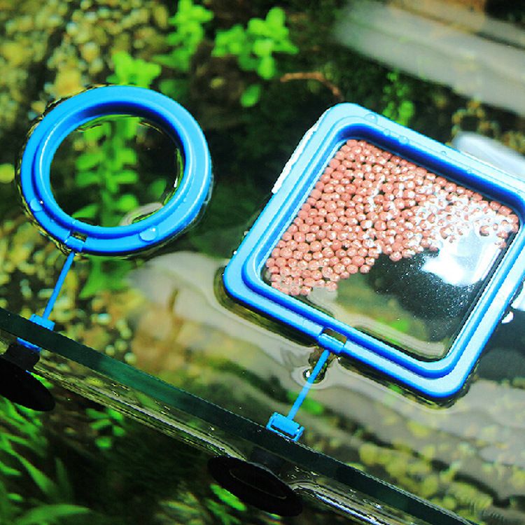 2 Piece Fish Feeding Ring