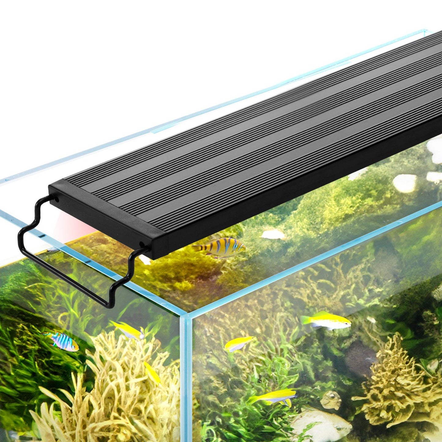 VEVOR Aquarium Light, 10W